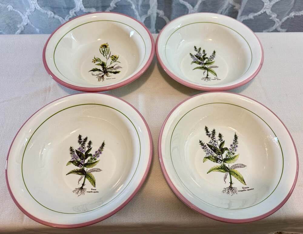 Set of 4 Large Primula Italian Botanical Soup Bowls - Picture 3 of 13